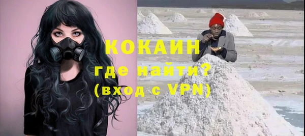 гашик Новодвинск