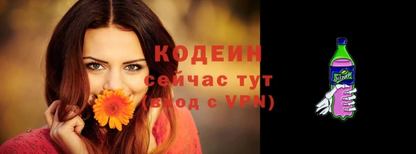 гашик Новодвинск