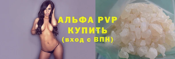 гашик Новодвинск