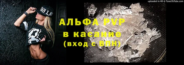 spice Новозыбков