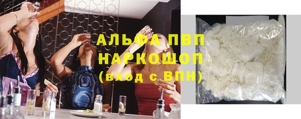 гашик Новодвинск