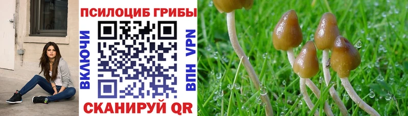 Галлюциногенные грибы Magic Shrooms  Белебей 