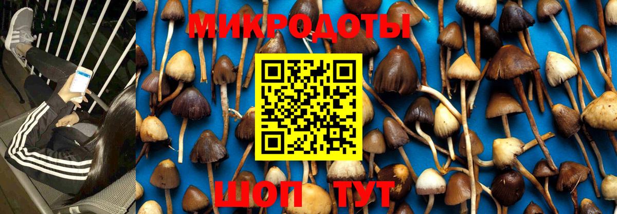 Псилоцибиновые грибы ЛСД Белебей